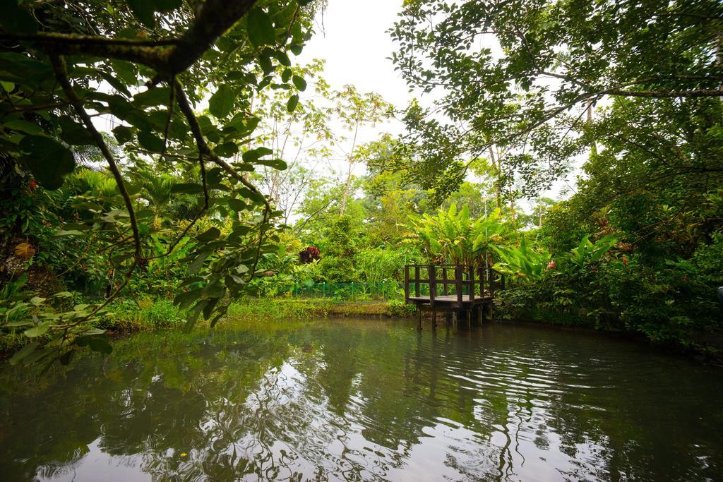 Blue River Resort & Hot Springs Liberia Kültér fotó