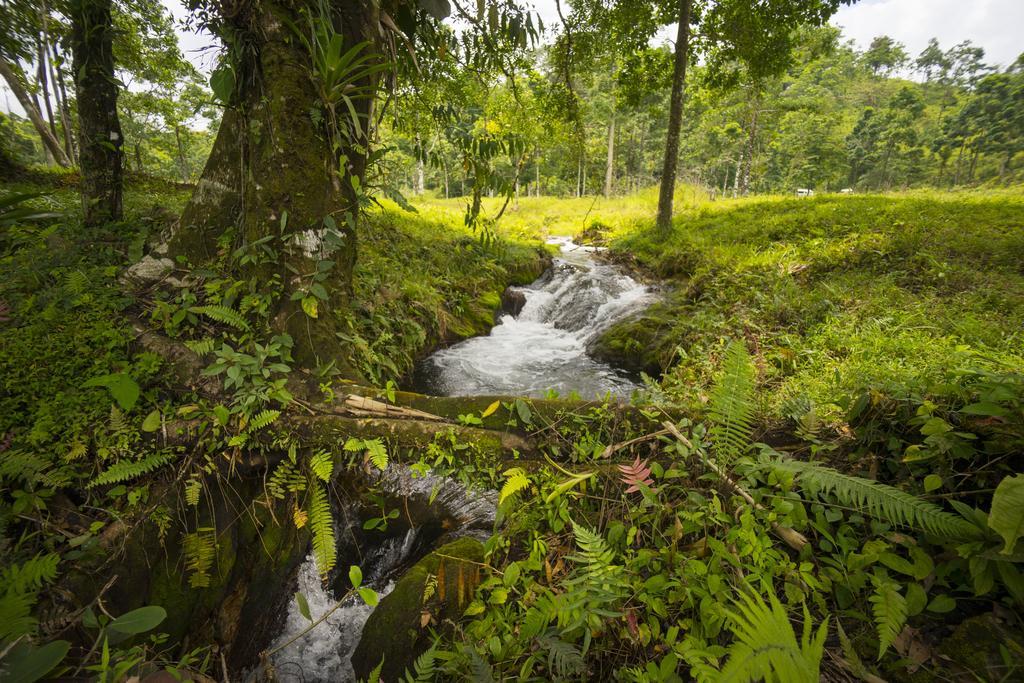 Blue River Resort & Hot Springs Liberia Kültér fotó