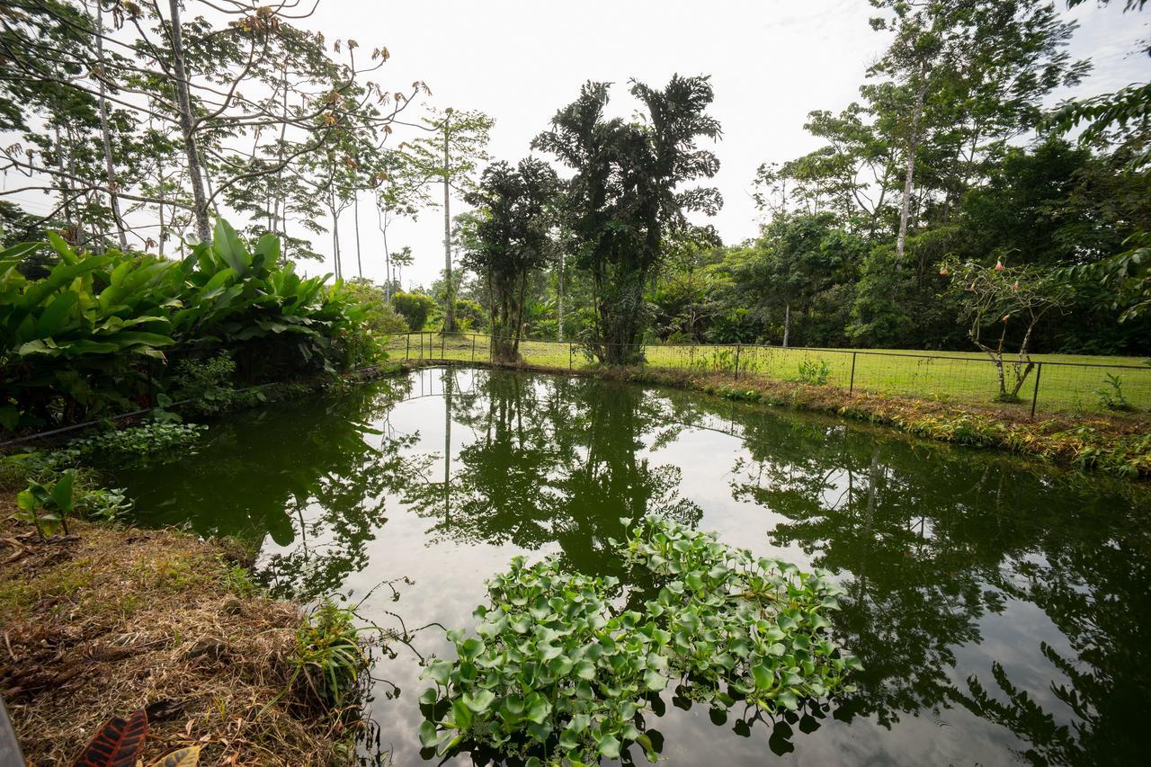 Blue River Resort & Hot Springs Liberia Kültér fotó